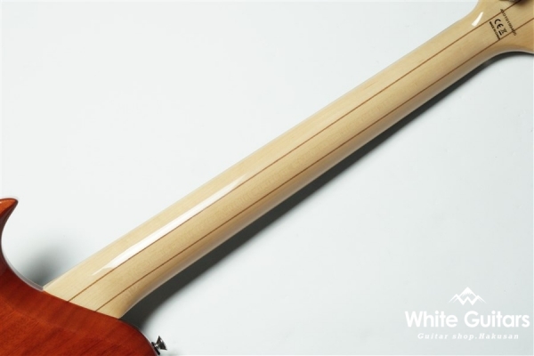 PE-480 - Brown Sunburst